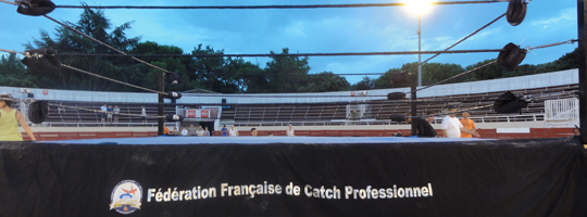 Fédération ançaise de Catch Professionnel | LinkedIn